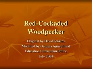 Red-Cockaded Woodpecker