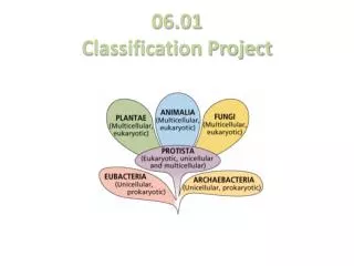 06.01 Classification Project