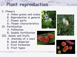 Plant reproduction