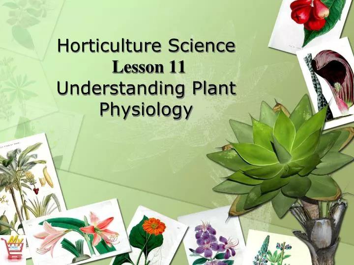 horticulture science lesson 11 understanding plant physiology