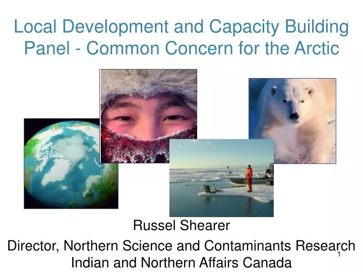 local development and capacity building panel common concern for the arctic