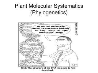 Plant Molecular Systematics (Phylogenetics)