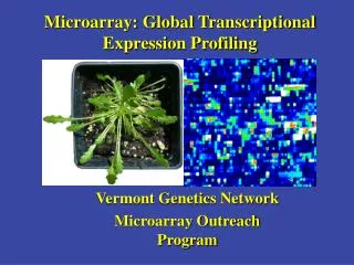 Microarray: Global Transcriptional Expression Profiling