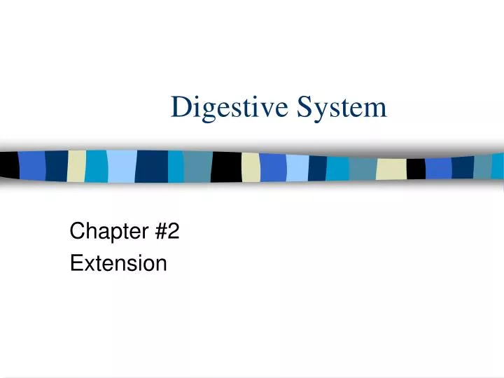 digestive system