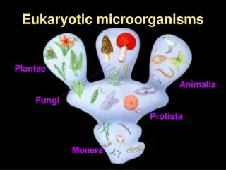 Eukaryotic microorganisms