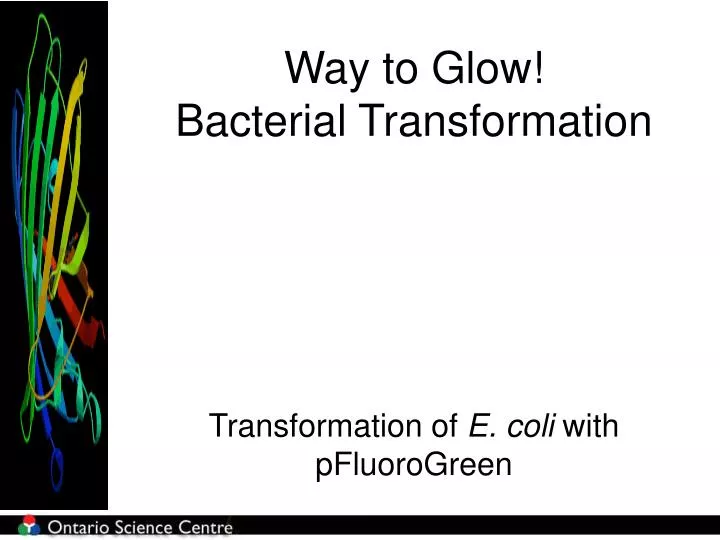 way to glow bacterial transformation
