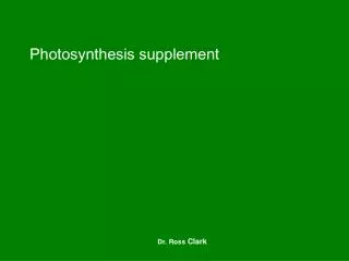 photosynthesis supplement