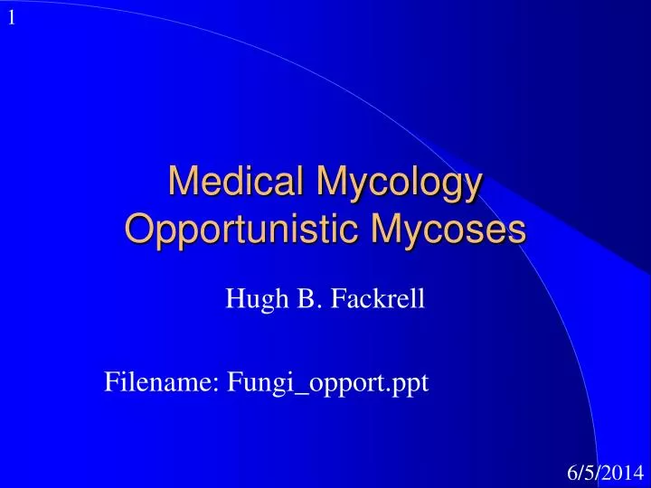 medical mycology opportunistic mycoses