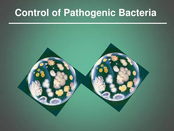 control of pathogenic bacteria