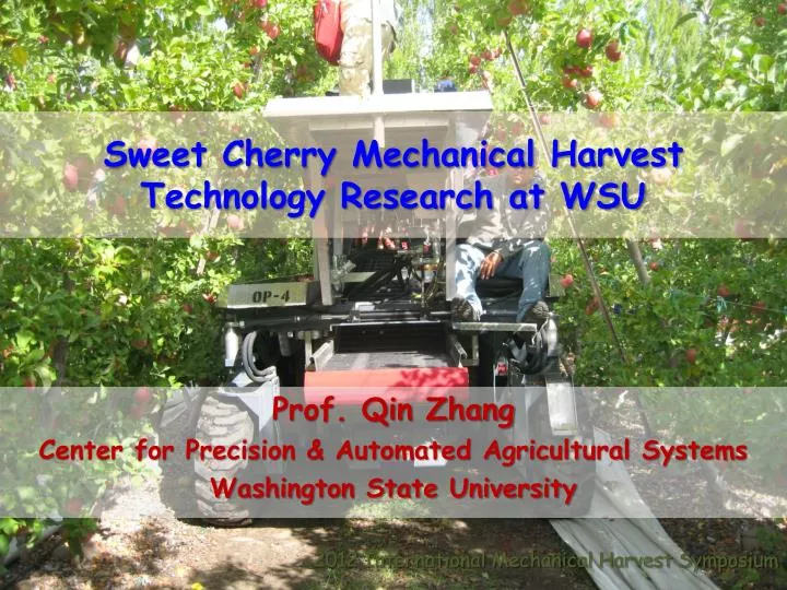 sweet cherry mechanical harvest technology research at wsu