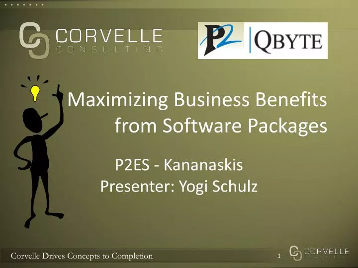 maximizing business benefits from software packages