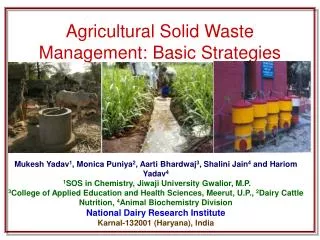 Agricultural Solid Waste Management: Basic Strategies