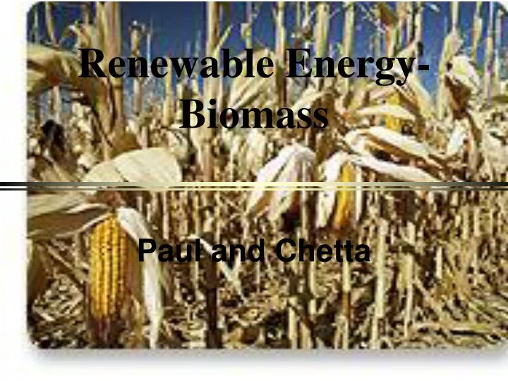 renewable energy biomass