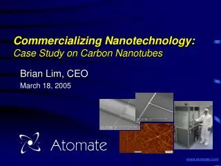 Commercializing Nanotechnology: Case Study on Carbon Nanotubes