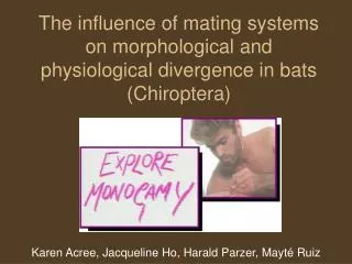 The influence of mating systems on morphological and physiological divergence in bats (Chiroptera)