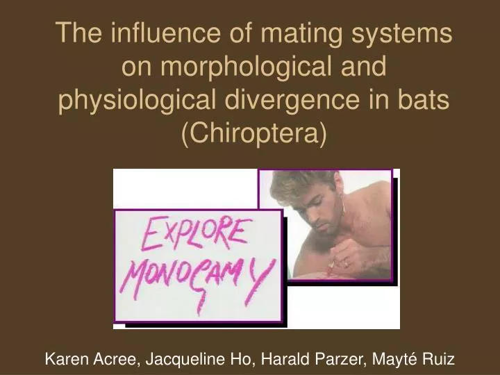 the influence of mating systems on morphological and physiological divergence in bats chiroptera