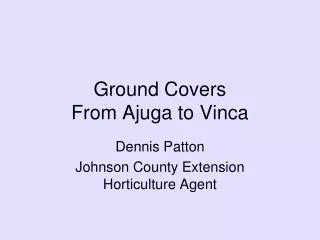 Ground Covers From Ajuga to Vinca