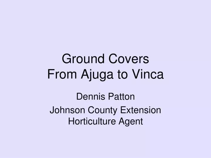 ground covers from ajuga to vinca
