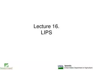 Lecture 16. LIPS