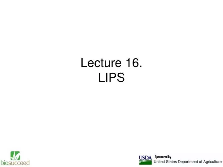 lecture 16 lips