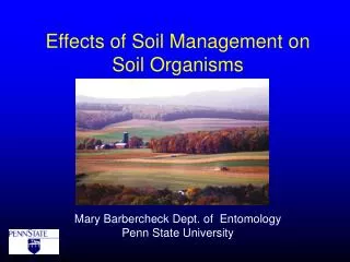Effects of Soil Management on Soil Organisms