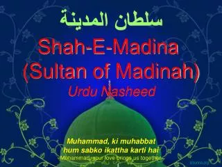 سلطان المدينة Shah-E- Madina (Sultan of Madinah ) Urdu Nasheed