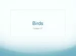 Birds - slide 1