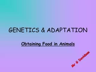 GENETICS &amp; ADAPTATION