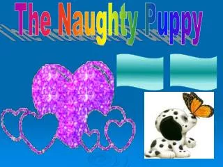 The Naughty Puppy