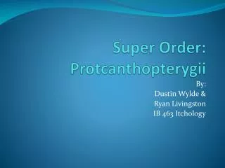 Super Order: Protcanthopterygii
