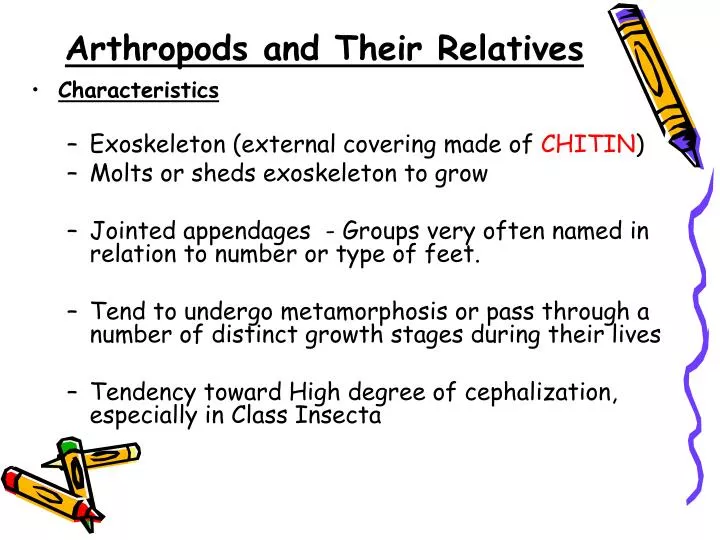 arthropods and their relatives