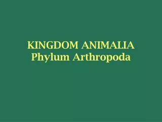 KINGDOM ANIMALIA Phylum Arthropoda