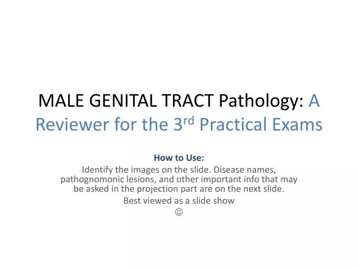 male genital tract pathology a reviewer for the 3 rd practical exams