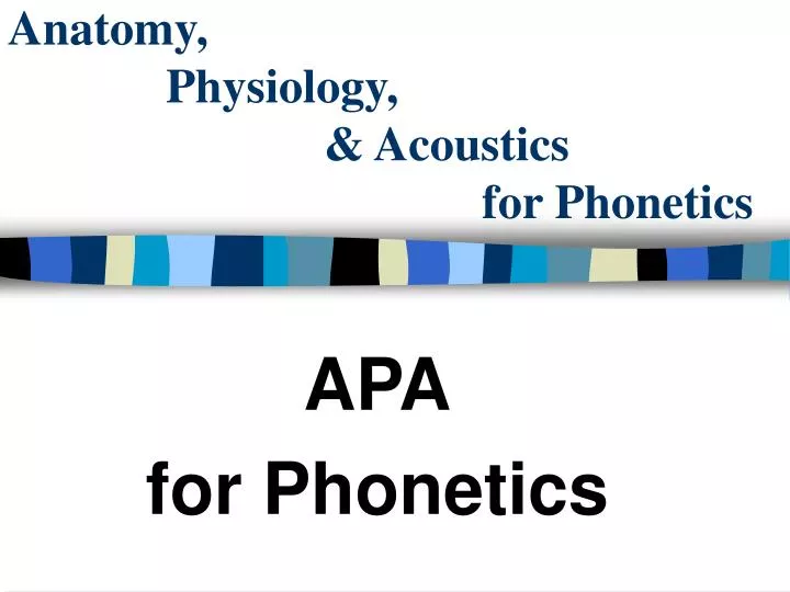anatomy physiology acoustics for phonetics