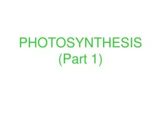 PHOTOSYNTHESIS (Part 1)