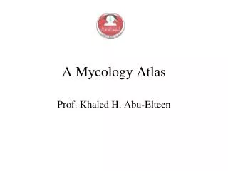 A Mycology Atlas