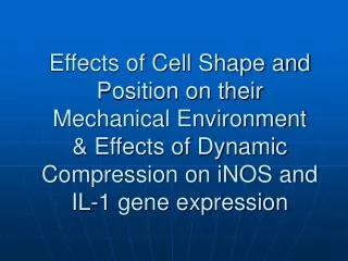 Effects of Cell Shape and Position on their Mechanical Environment &amp; Effects of Dynamic Compression on iNOS and IL-1
