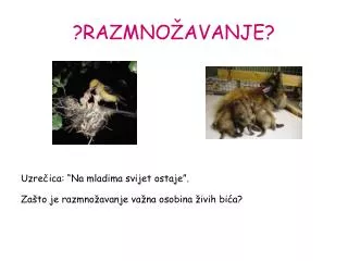 razmno avanje