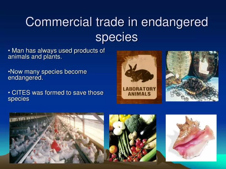 commercial trade in endangered species