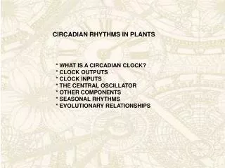 CIRCADIAN RHYTHMS IN PLANTS