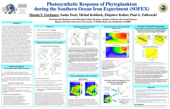 photosynthetic response of phytoplankton during the southern ocean iron experiment sofex