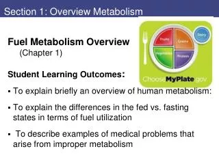 Section 1: Overview Metabolism