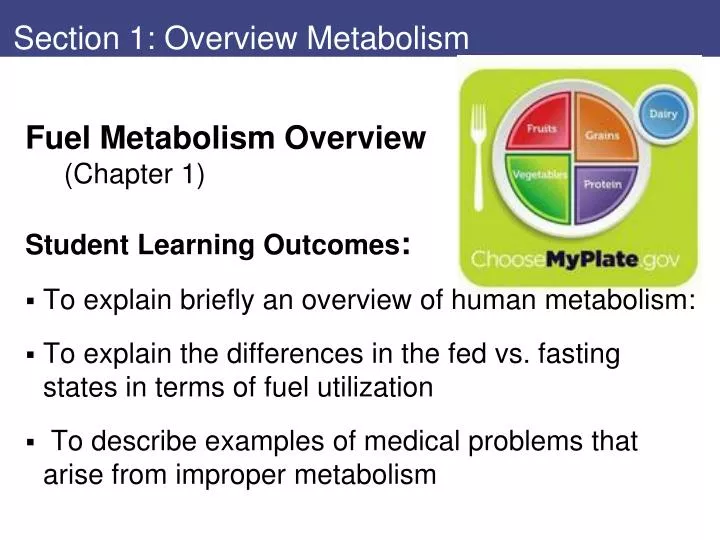 section 1 overview metabolism