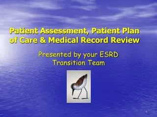 Patient Assessment, Patient Plan of Care &amp; Medical Record Review