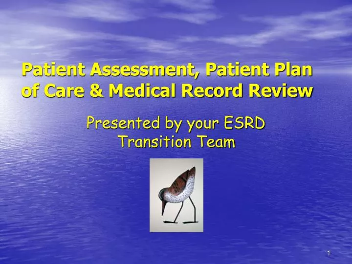 patient assessment patient plan of care medical record review