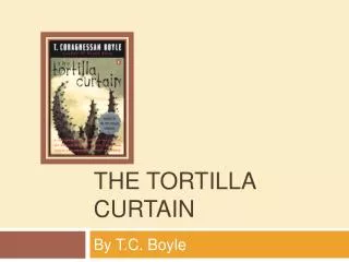 THE Tortilla Curtain