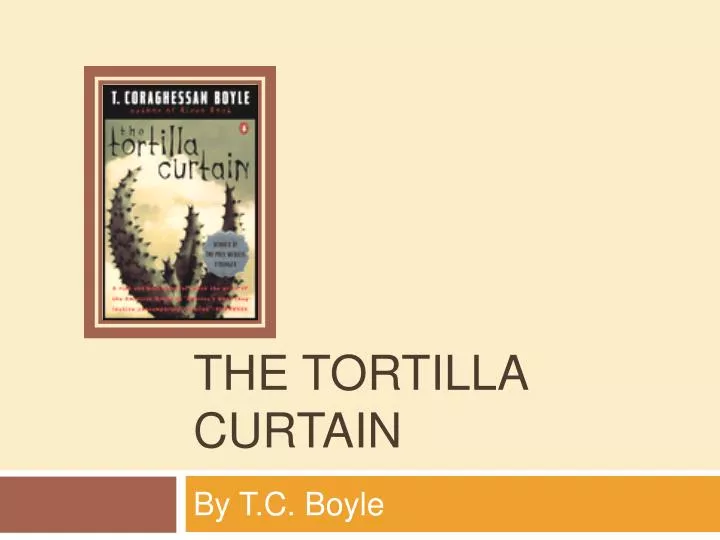 the tortilla curtain