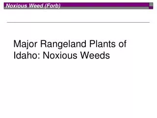 Major Rangeland Plants of Idaho: Noxious Weeds