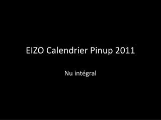 EIZO Calendrier Pinup 2011