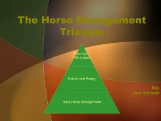The Horse Management Triangle